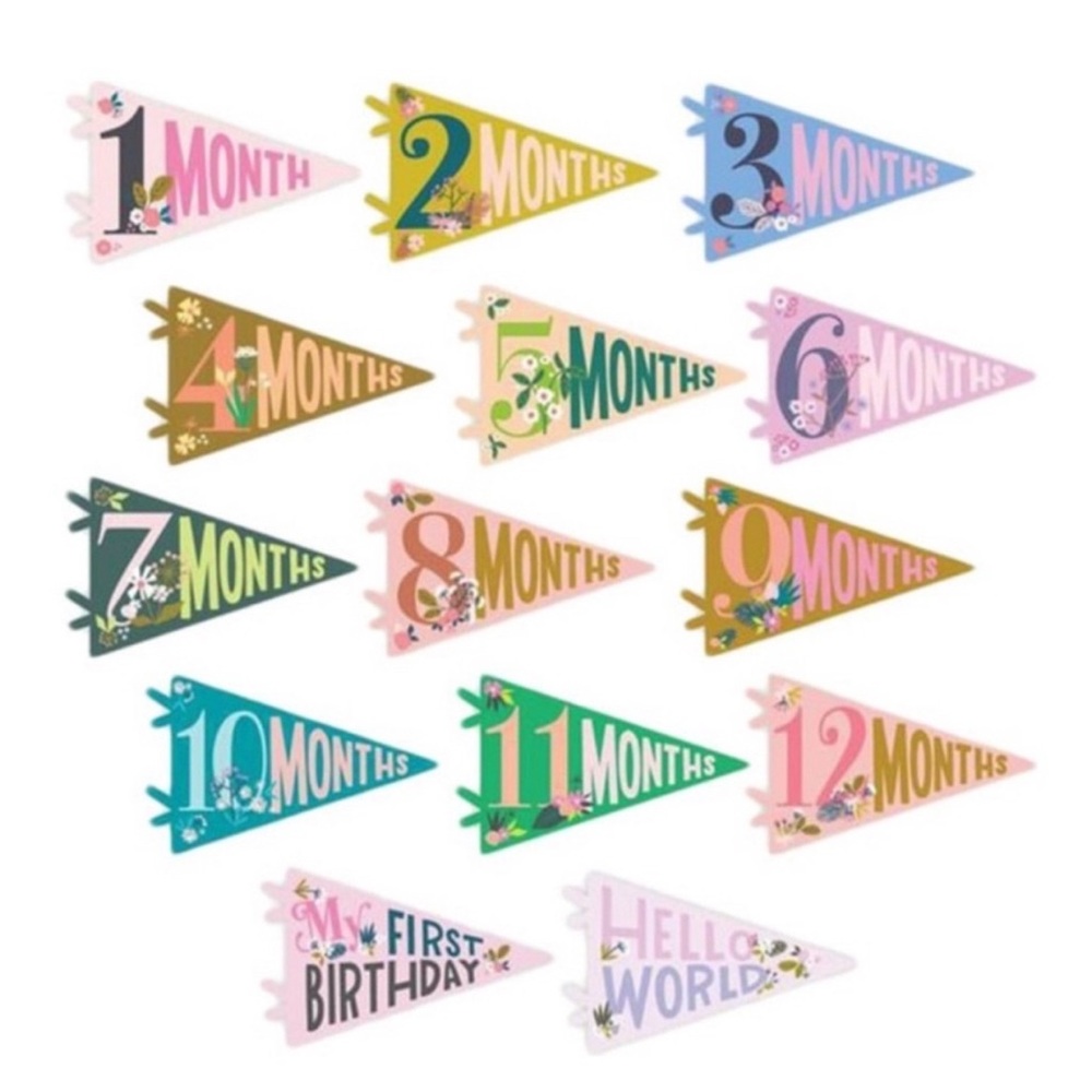 Darling Colorful Monthly Milestone Banners
